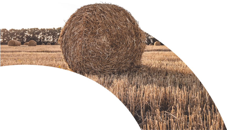 Gentle Farming